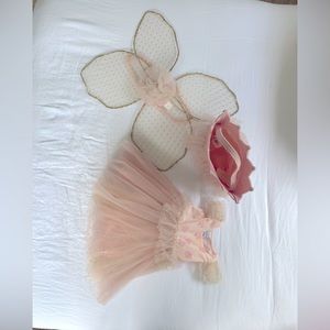 Potterybarn kids pink butterfly Halloween costume